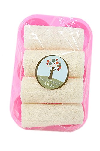 loofah-and-soap-mold-kit-B079RJXCVB