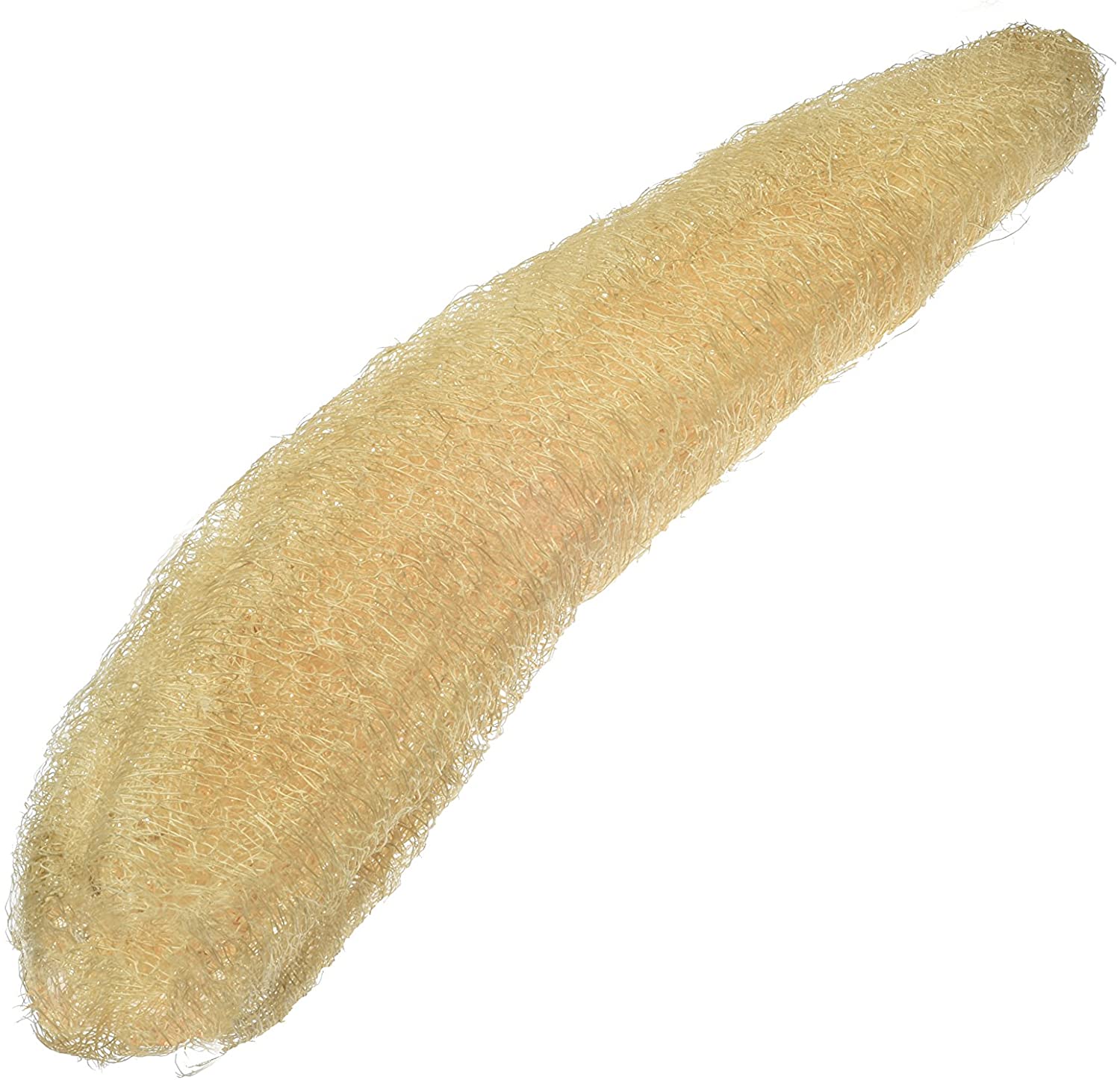 loofah-1-pack-B079RM8RS5